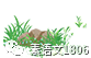 大学篮球运动员如何应对常见的伤病并进行有效治疗?_1